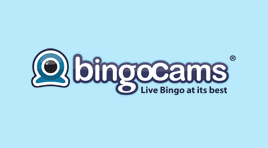 Bingocams