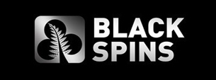 Black Spins Casino