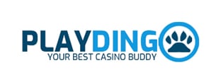 Playdingo Casino