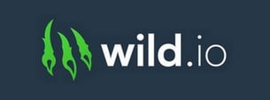 Wild.io Casino