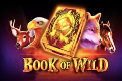 Book of Wild