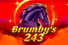 Brumby's 243