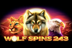 Wolf Spins 243