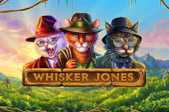 Whisker Jones