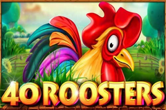 40 Roosters