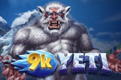 6 Wild Sharks -  - Official home of 9k Yeti