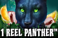 1 Reel Panther