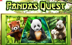 Pandas Quest