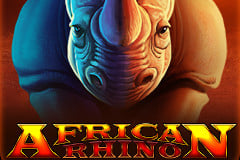 African Rhino