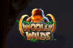 Woolly Wilds