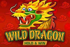 Wild Dragon Hold & Win