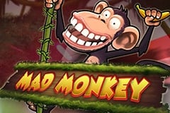 Mad Monkey