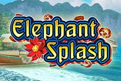 Elephant Splash