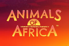 Animals of Africa