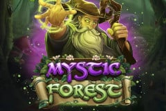 Mystic Forest