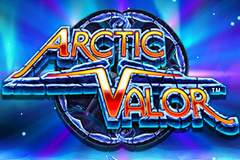 Arctic Valor