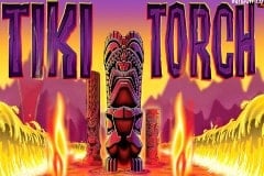 Tiki torch slot machine for sale