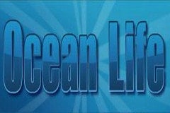 Ocean Life