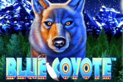 Blue Coyote