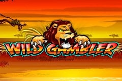 Wild Gambler