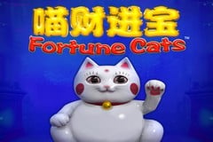 Fortune Cats