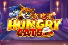 Hungry Cats