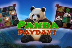 Panda Payday