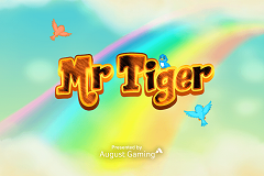 Mr Tiger