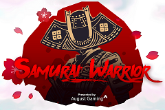 Samurai Warrior