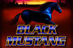 Black Mustang