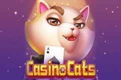 Casino Cats