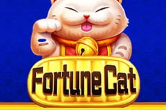 Fortune Cat