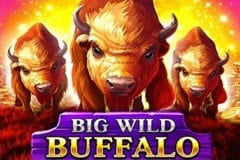 Big Wild Buffalo