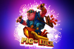 Pig of Luck