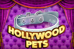 Hollywood Pets