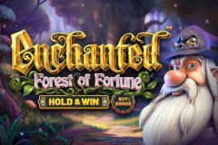 Enchanted: Forest of Fortune