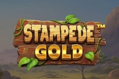 Stampede Gold™