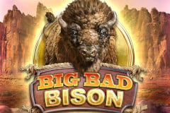 Big Bad Bison