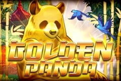 Golden Panda