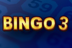 Bingo 3