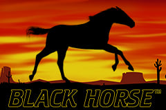 Black Horse?