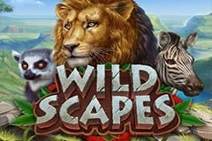 Wildscapes