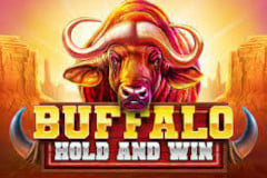 Buffalo Hold and Win