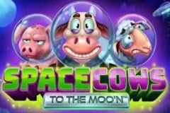 Space Cows To The Moon