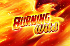 Burning Wild