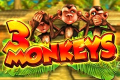 3 Monkeys