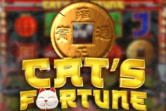 Cat's Fortune