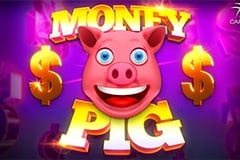 Money Pig