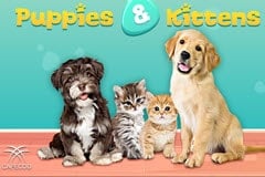 Puppies & Kittens