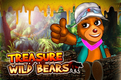 Treasure of the Wild Bears